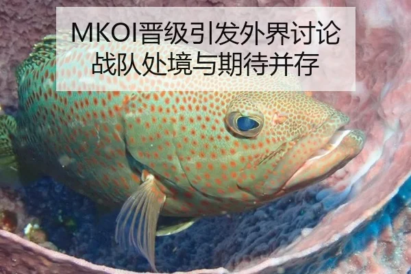 MKOI晋级引发外界讨论 战队处境与期待并存